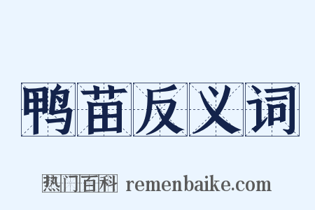 鸭苗反义词是什么意思的图片